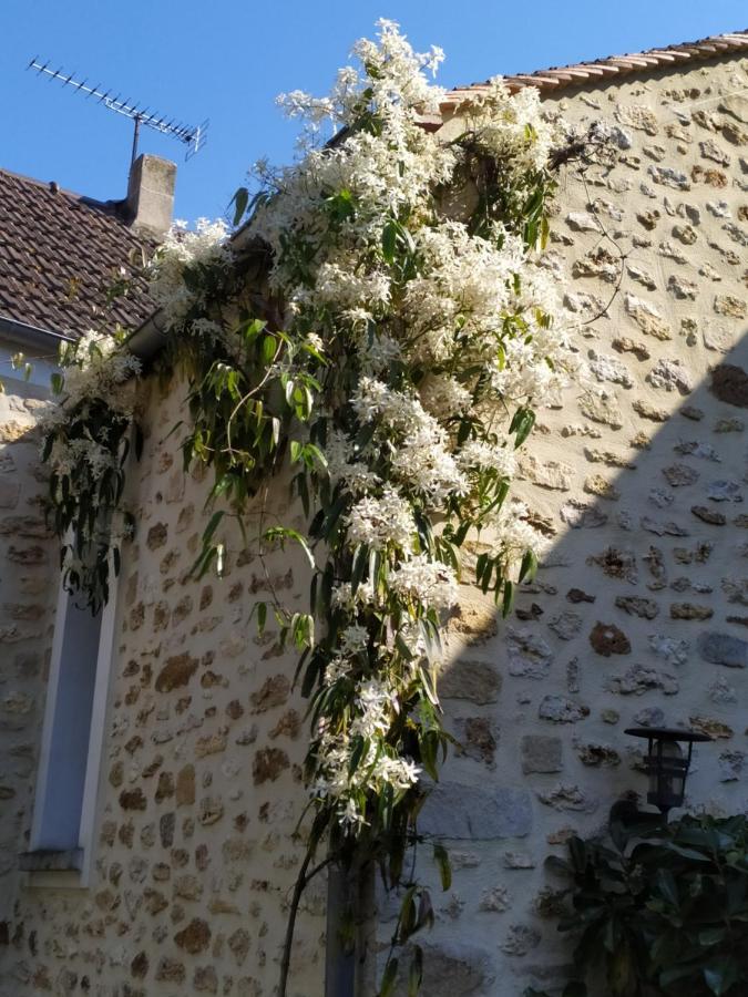 Le Nid D'Hirondelles Perthes-en-Gatinais Exterior foto